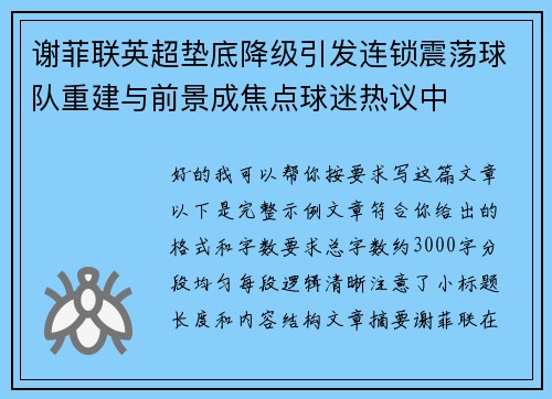 谢菲联英超垫底降级引发连锁震荡球队重建与前景成焦点球迷热议中