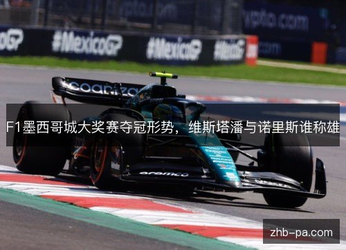 F1墨西哥城大奖赛夺冠形势，维斯塔潘与诺里斯谁称雄